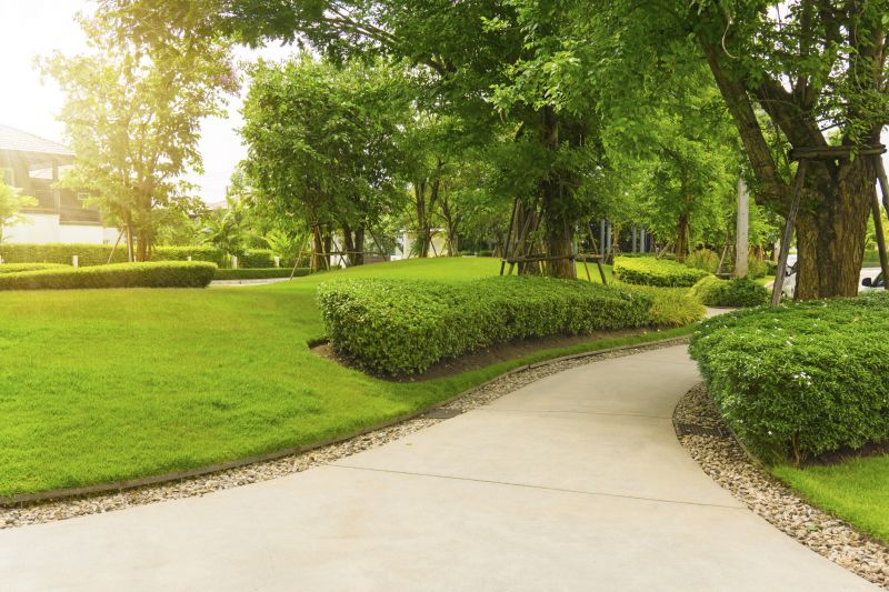 Concrete Path Installation in Denver, CO