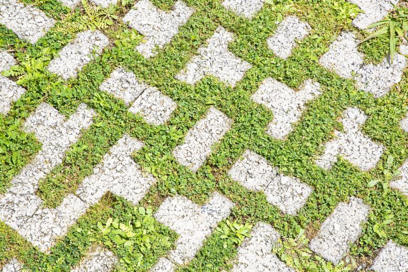 Paver Flooring Installation in Aurora, CO