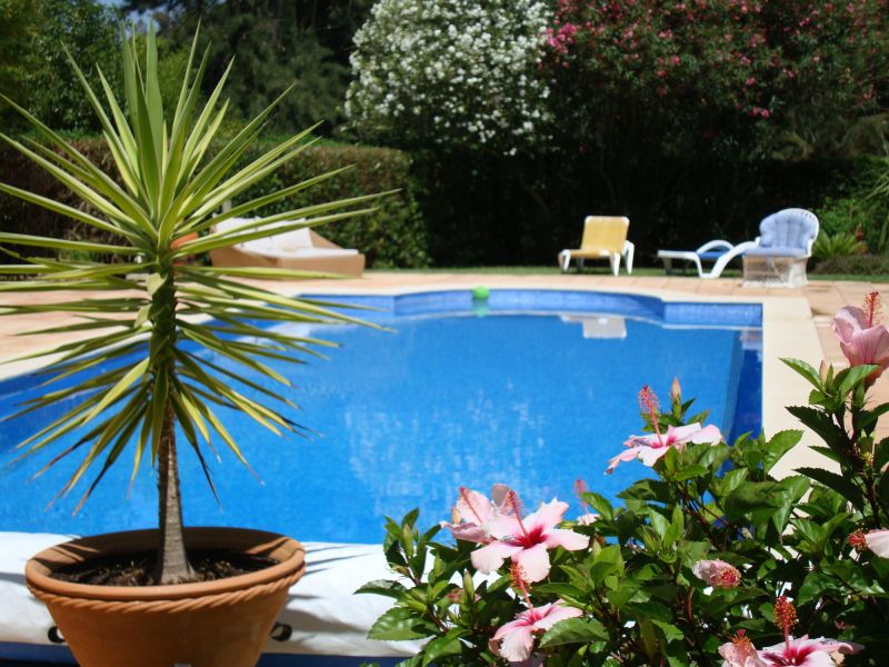 Poolside Hardscaping in Fairfield County, CT