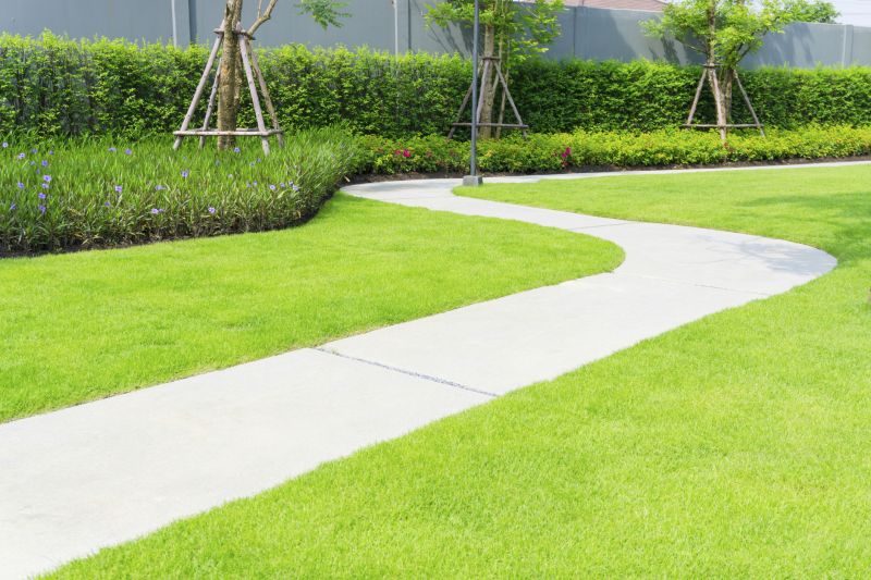 Sidewalk Enlargement in Fort Collins, CO