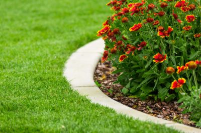 Install Garden Edging!